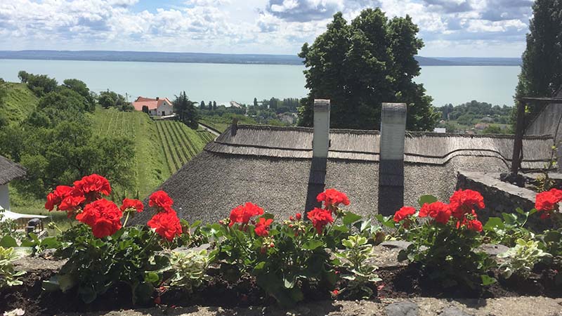 Ganztägige Balaton Rundfahrt - Besichtigung die 10 Top schönsten Plätze am Balaton (Plattensee). Ausflug mit Siófok Minibus für kleine Gruppen und Familien. - Siófok, Balatonfüred, Tihany, Badacsony, Szigliget, Keszthely, Hévíz, Fonyód, Balatonboglár, Zamárdi. Sie werden an Ihrer Unterkunft Abgeholt