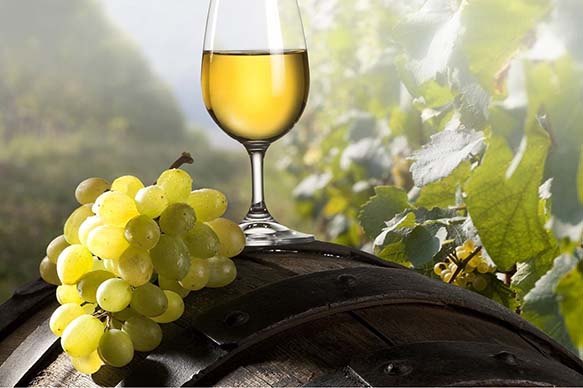Balaton - wine tasting - Trip to Lake Balaton scenic tour