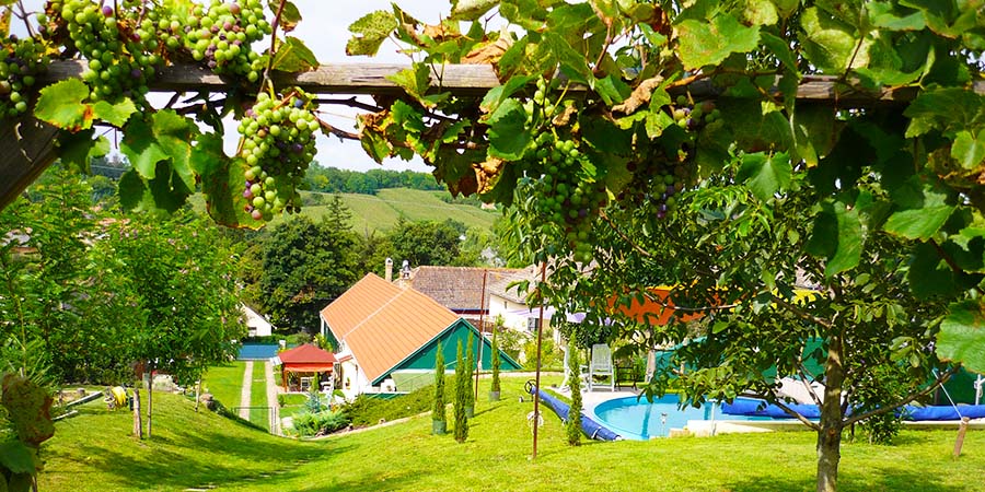 IMMOBILIE, LANDESHAUS IN UNGARN, Luxus topsaniertes Bauenhaus ist zum Kaufen.Ein wiederbelebetes Mirakel - Im Balaton-Region, in einem schön gelegenem Dorf, 30 Min. nah zum Balaton-Hauptstadt, Siófok, luxuriöses Bauernhaus mit Qualität-Mobiliar, am Hauptplatz ist spottbillig um Halben Preis zum Verkaufen. IMMOBILIE, LANDESHAUS IN UNGARN, Luxus topsaniertes Bauenhaus ist zum Kaufen.Ein wiederbelebetes Mirakel - Im Balaton-Region, in einem schön gelegenem Dorf, 30 Min. nah zum Balaton-Hauptstadt, Siófok, luxuriöses Bauernhaus mit Qualität-Mobiliar, am Hauptplatz ist spottbillig um Halben Preis zum Verkaufen.
