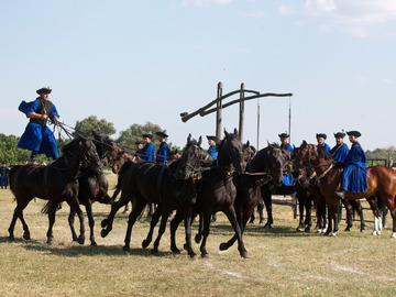 EXCURSIONS, SCENIC TOURS - SIÓFOK MINIBUS - Hungarian Pusta